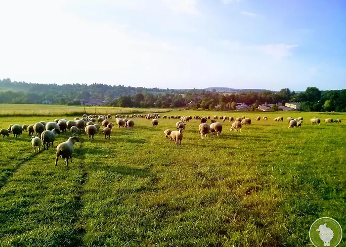 Owczarnia Agroturystyka Ekologiczne Gospodarstwo Owczarskie