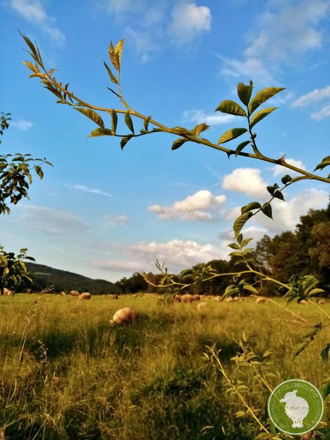 Bauernhof Owczarnia Ekologiczne Gospodarstwo Owczarskie *