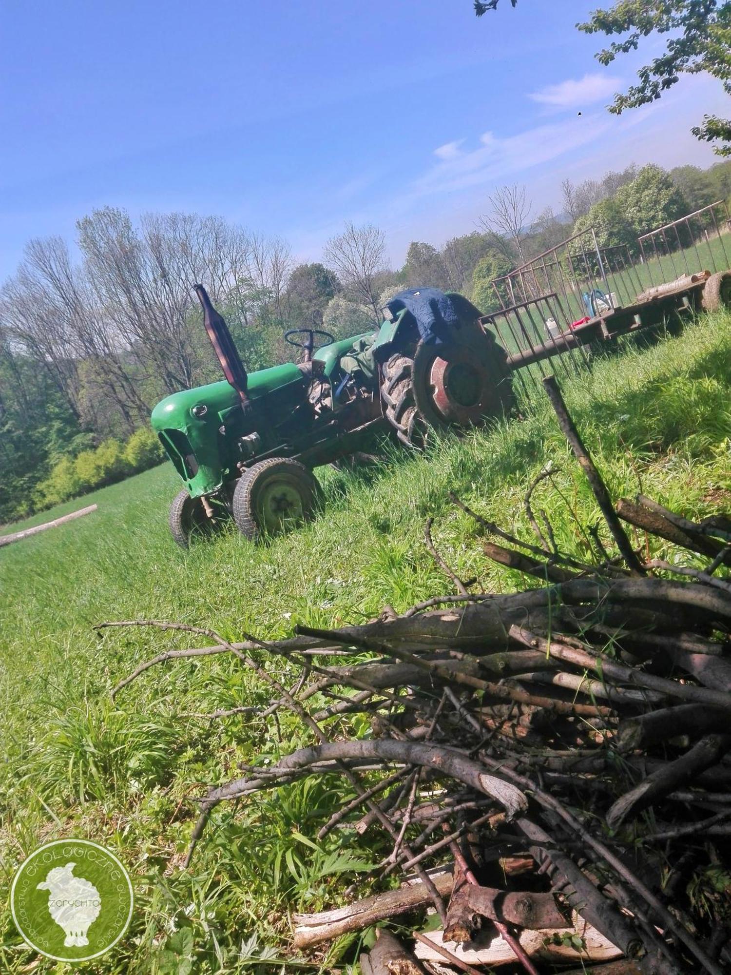 Alloggio per agriturismo Owczarnia Ekologiczne Gospodarstwo Owczarskie